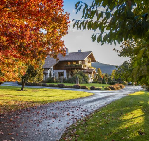 Abendblume sits behind a red autumn tree